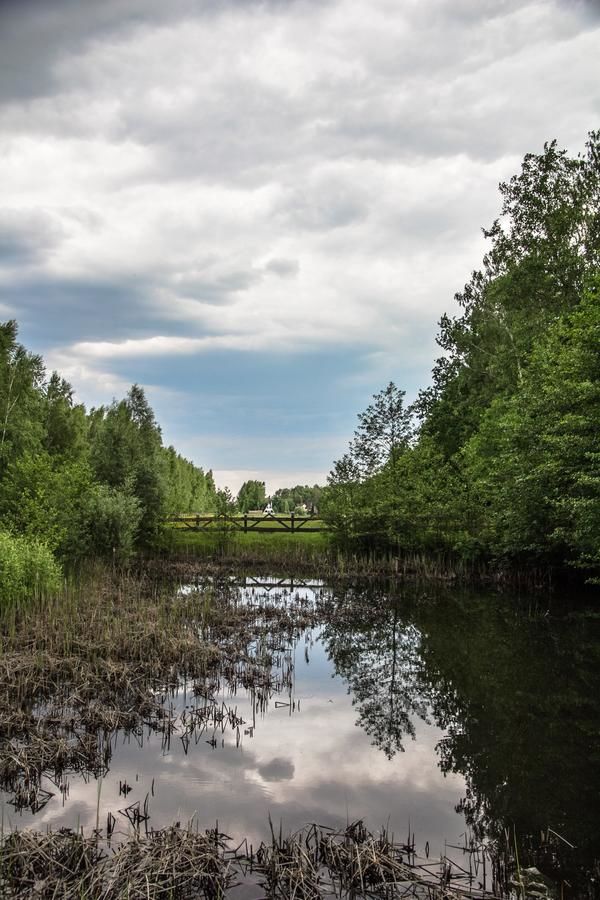 Фермерские дома GoldenHorse Prażmów